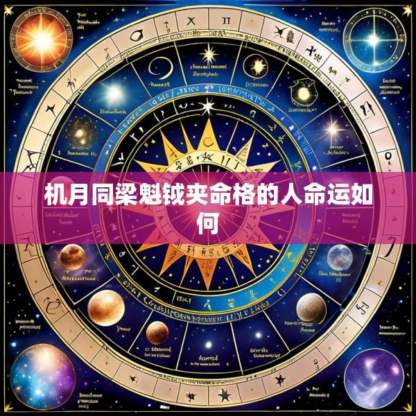机月同梁魁钺夹命格的人命运如何