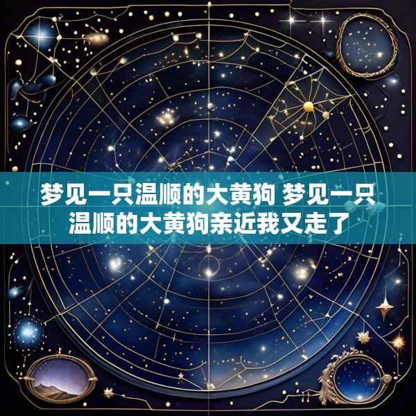 梦见一只温顺的大黄狗 梦见一只温顺的大黄狗亲近我又走了