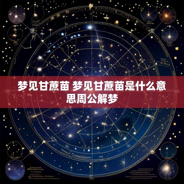 梦见甘蔗苗 梦见甘蔗苗是什么意思周公解梦