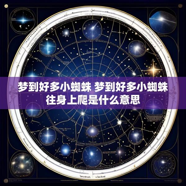 梦到好多小蜘蛛 梦到好多小蜘蛛往身上爬是什么意思