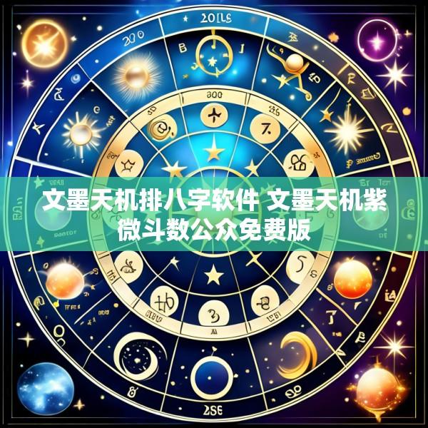 文墨天机排八字软件 文墨天机紫微斗数公众免费版