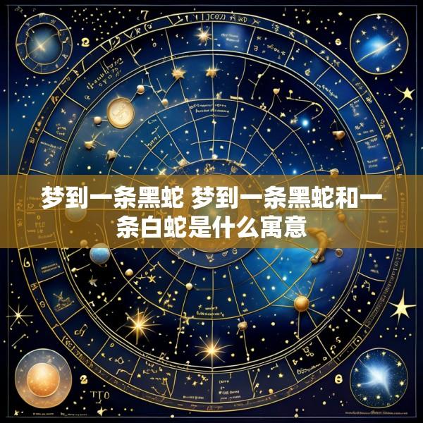 梦到一条黑蛇 梦到一条黑蛇和一条白蛇是什么寓意