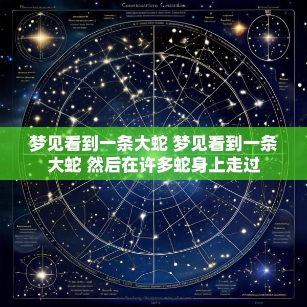 梦见看到一条大蛇 梦见看到一条大蛇 然后在许多蛇身上走过
