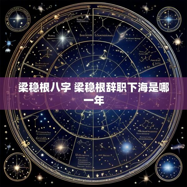 梁稳根八字 梁稳根辞职下海是哪一年