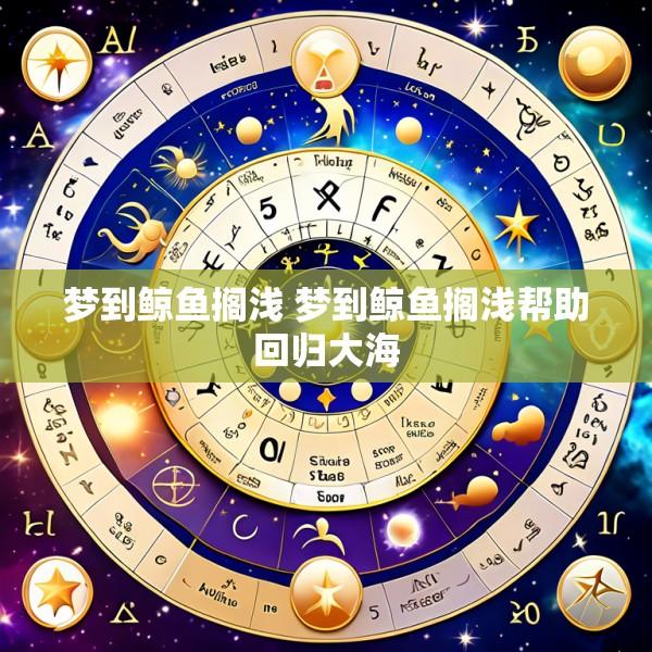 梦到鲸鱼搁浅 梦到鲸鱼搁浅帮助回归大海
