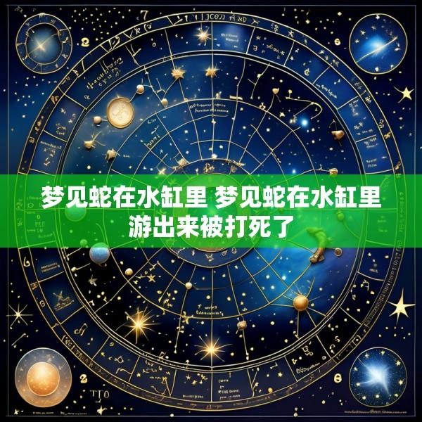 梦见蛇在水缸里 梦见蛇在水缸里游出来被打死了