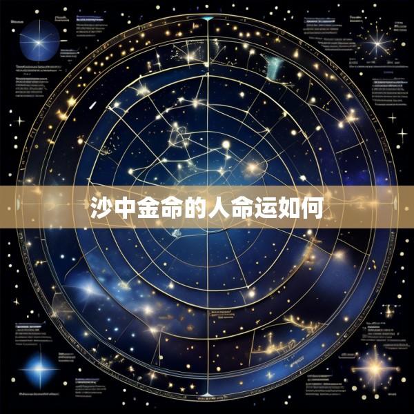 沙中金命的人命运如何