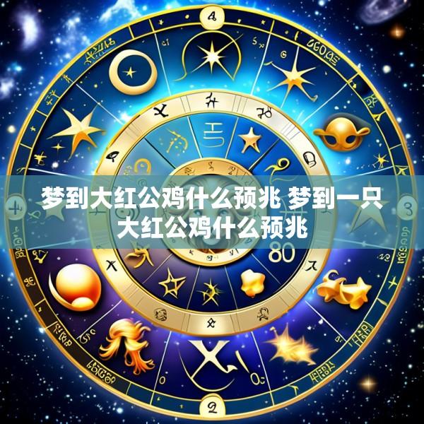 梦到大红公鸡什么预兆 梦到一只大红公鸡什么预兆