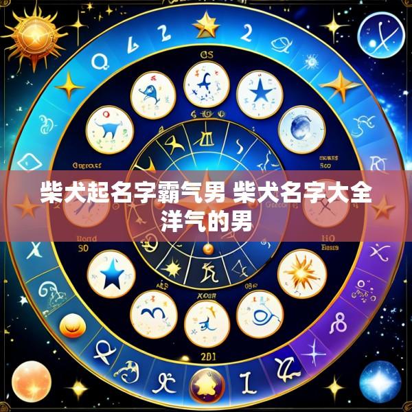 柴犬起名字霸气男 柴犬名字大全洋气的男