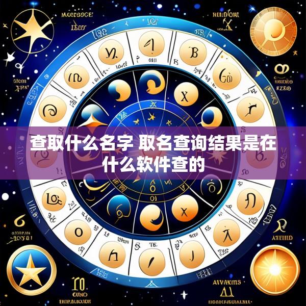 查取什么名字 取名查询结果是在什么软件查的