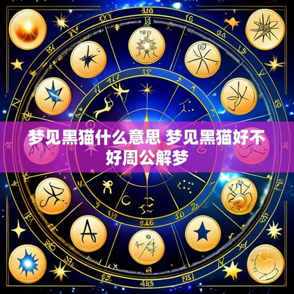 梦见黑猫什么意思 梦见黑猫好不好周公解梦