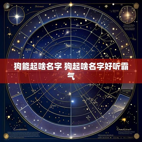 狗能起啥名字 狗起啥名字好听霸气