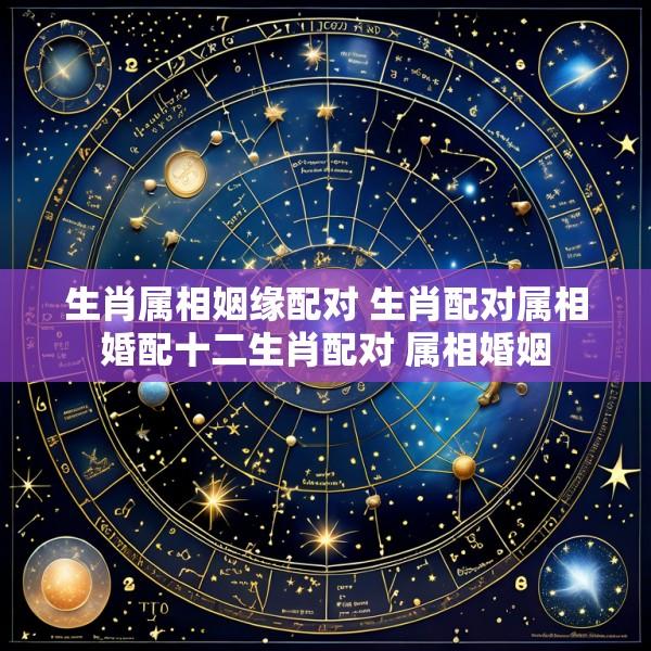 生肖属相姻缘配对 生肖配对属相婚配十二生肖配对 属相婚姻
