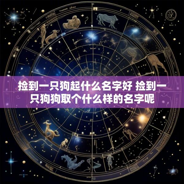 捡到一只狗起什么名字好 捡到一只狗狗取个什么样的名字呢