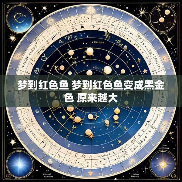 梦到红色鱼 梦到红色鱼变成黑金色 原来越大