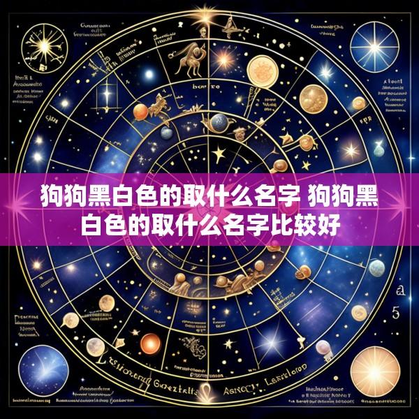 狗狗黑白色的取什么名字 狗狗黑白色的取什么名字比较好