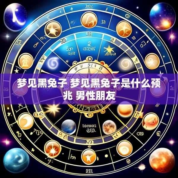 梦见黑兔子 梦见黑兔子是什么预兆 男性朋友