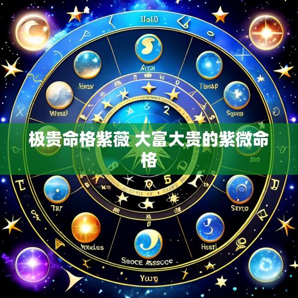 极贵命格紫薇 大富大贵的紫微命格