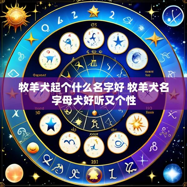 牧羊犬起个什么名字好 牧羊犬名字母犬好听又个性