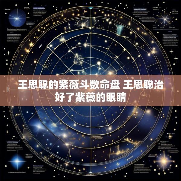 王思聪的紫薇斗数命盘 王思聪治好了紫薇的眼睛