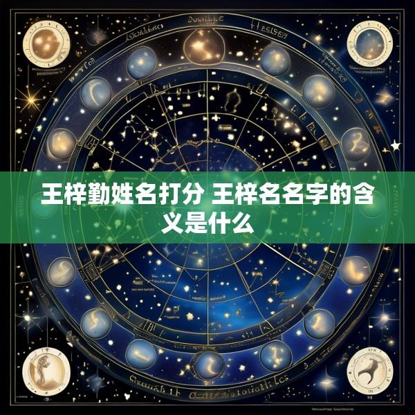 王梓勤姓名打分 王梓名名字的含义是什么