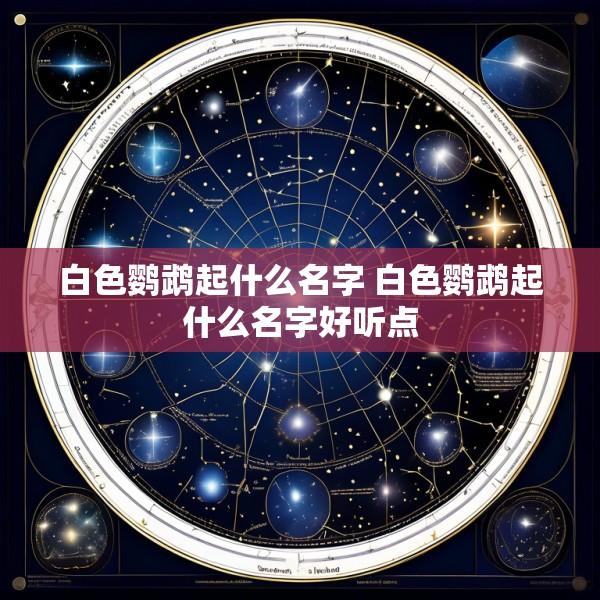白色鹦鹉起什么名字 白色鹦鹉起什么名字好听点
