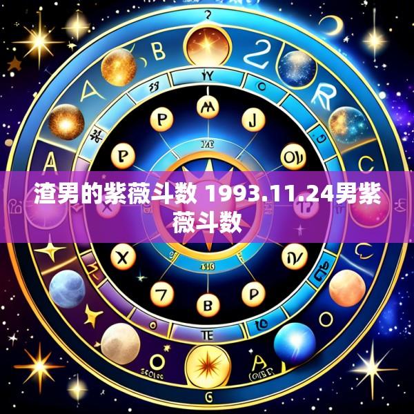 渣男的紫薇斗数 1993.11.24男紫薇斗数