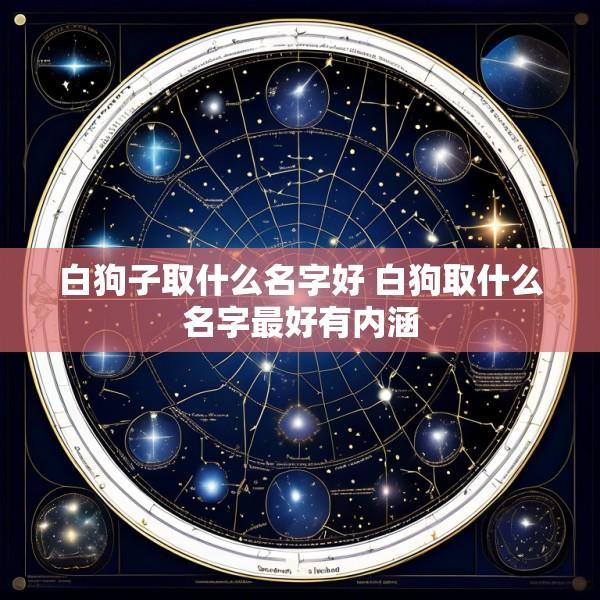 白狗子取什么名字好 白狗取什么名字最好有内涵