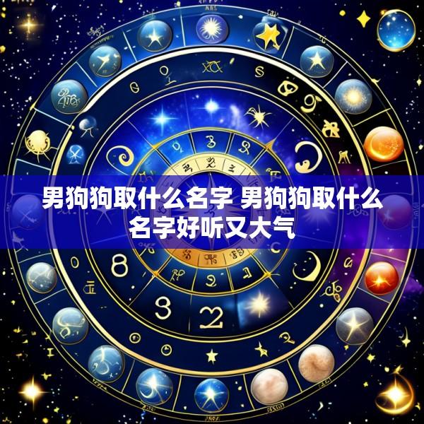 男狗狗取什么名字 男狗狗取什么名字好听又大气