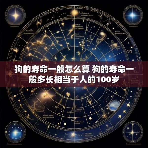 狗的寿命一般怎么算 狗的寿命一般多长相当于人的100岁
