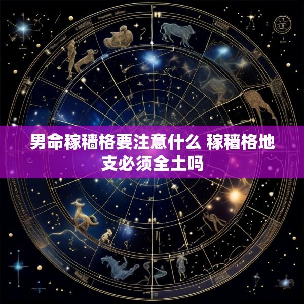 男命稼穑格要注意什么 稼穑格地支必须全土吗