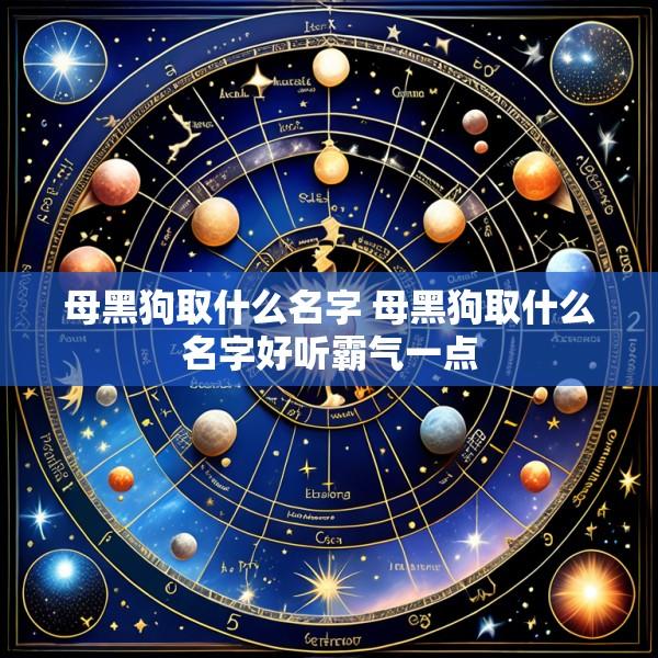 母黑狗取什么名字 母黑狗取什么名字好听霸气一点