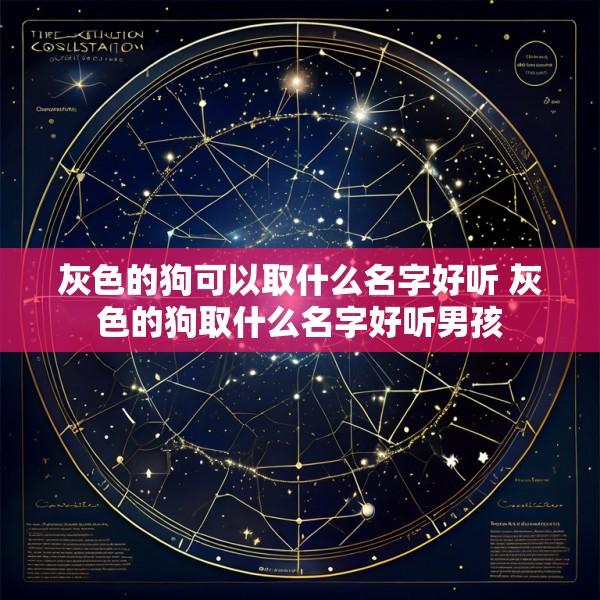灰色的狗可以取什么名字好听 灰色的狗取什么名字好听男孩