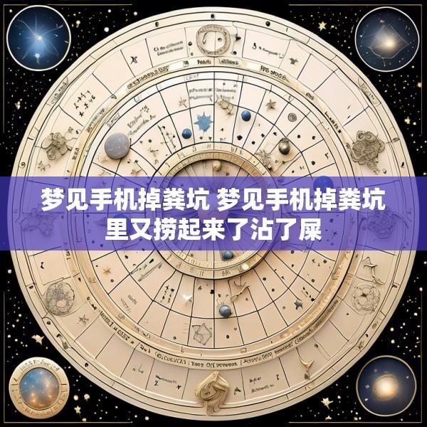梦见手机掉粪坑 梦见手机掉粪坑里又捞起来了沾了屎