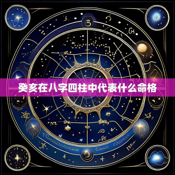 癸亥在八字四柱中代表什么命格