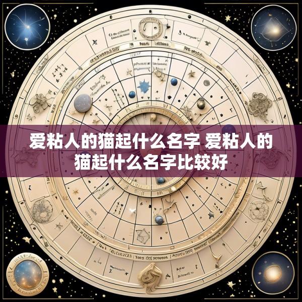 爱粘人的猫起什么名字 爱粘人的猫起什么名字比较好