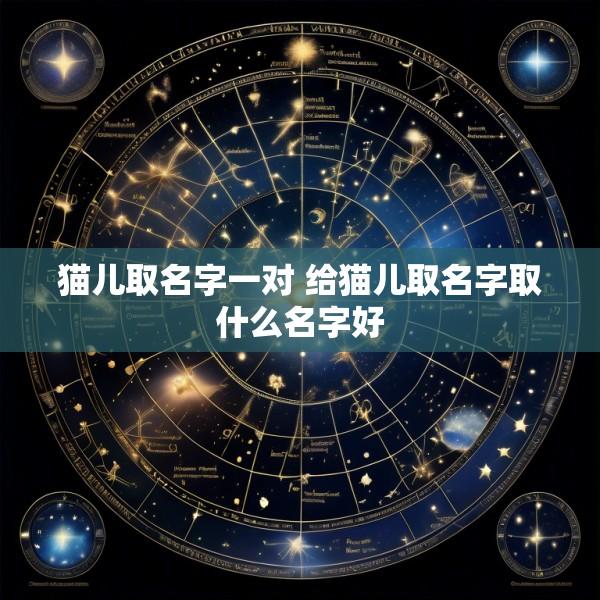 猫儿取名字一对 给猫儿取名字取什么名字好
