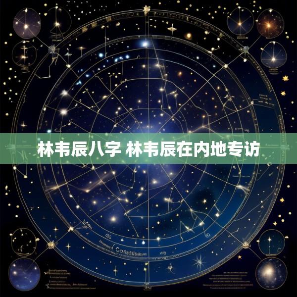 林韦辰八字 林韦辰在内地专访