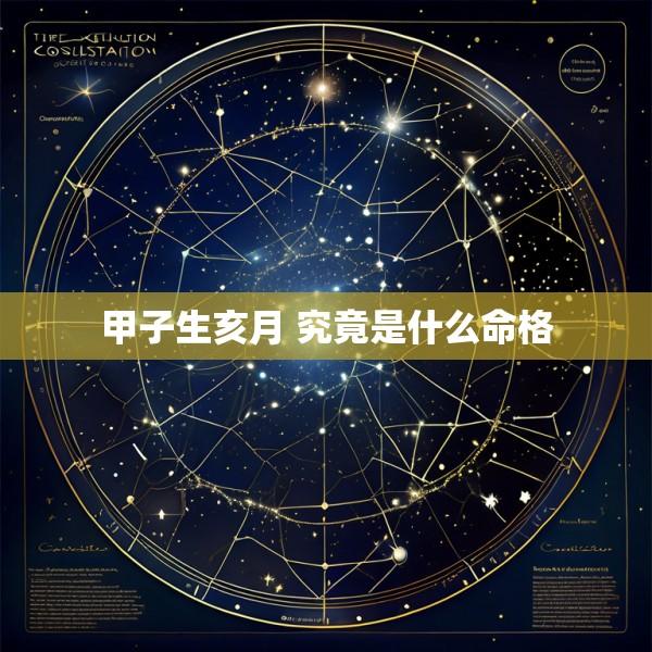 甲子生亥月 究竟是什么命格
