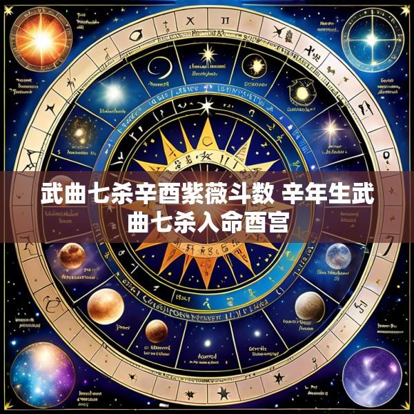 武曲七杀辛酉紫薇斗数 辛年生武曲七杀入命酉宫