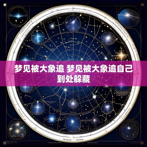 梦见被大象追 梦见被大象追自己到处躲藏