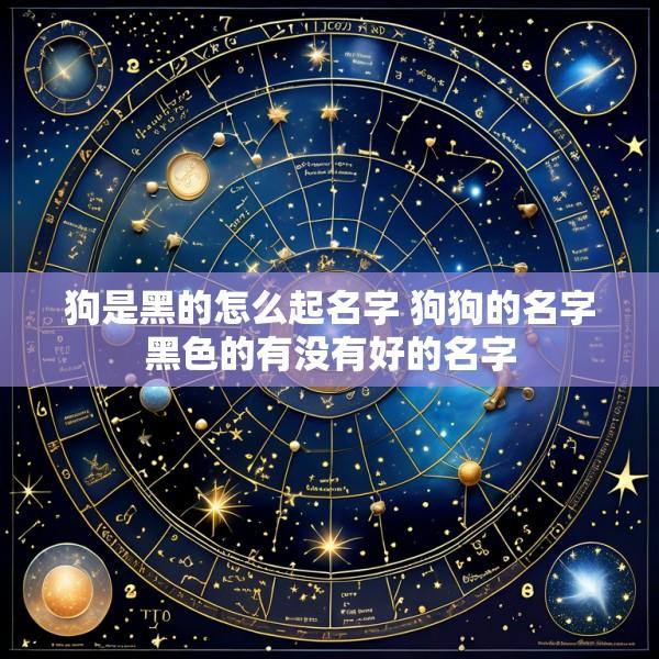 狗是黑的怎么起名字 狗狗的名字黑色的有没有好的名字
