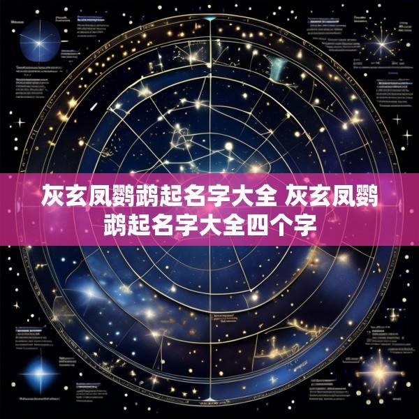 灰玄凤鹦鹉起名字大全 灰玄凤鹦鹉起名字大全四个字