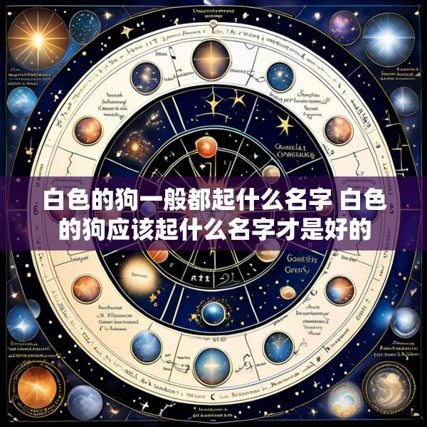 白色的狗一般都起什么名字 白色的狗应该起什么名字才是好的