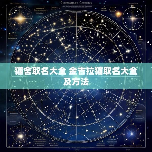 猫舍取名大全 金吉拉猫取名大全及方法