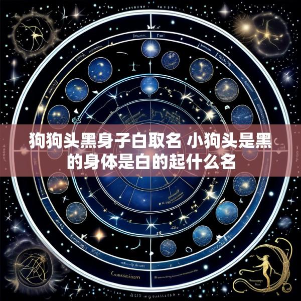 狗狗头黑身子白取名 小狗头是黑的身体是白的起什么名