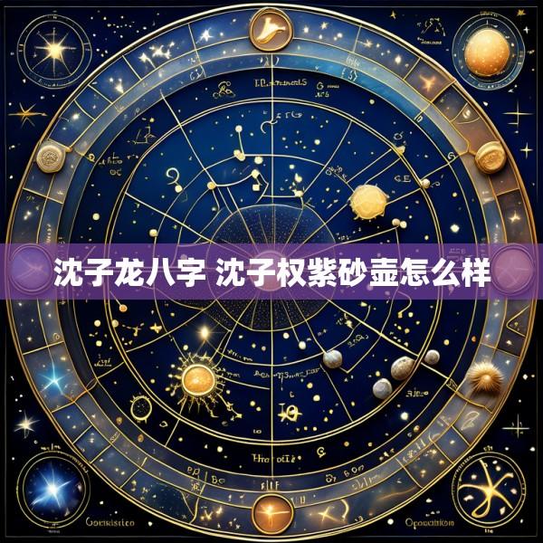 沈子龙八字 沈子权紫砂壶怎么样