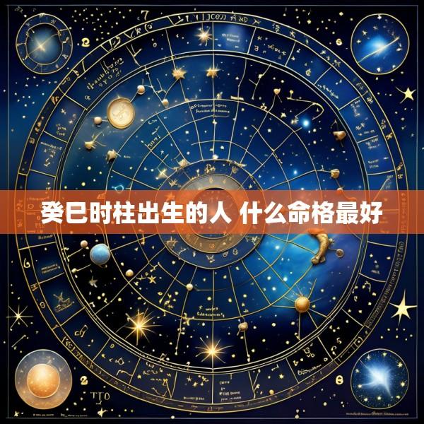 癸巳时柱出生的人 什么命格最好