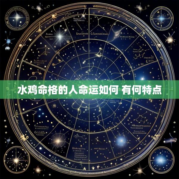 水鸡命格的人命运如何 有何特点
