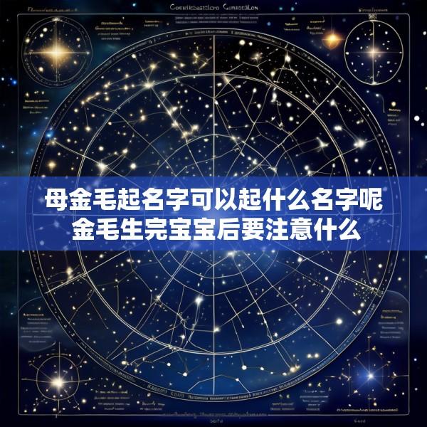 母金毛起名字可以起什么名字呢 金毛生完宝宝后要注意什么